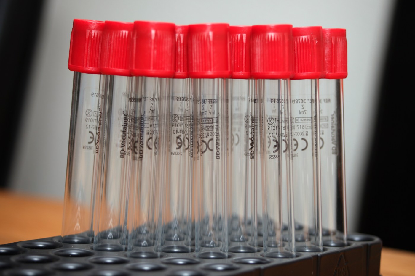 Test New Career Hobby Path Framework McKee XY Culture